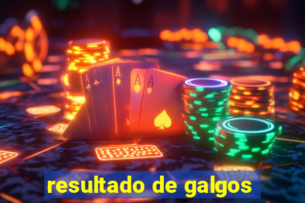 resultado de galgos